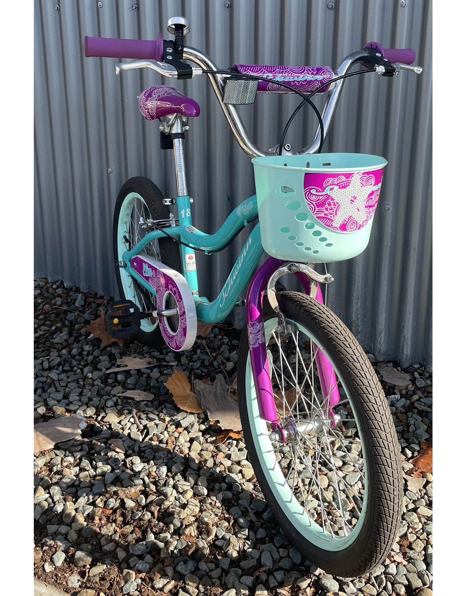 Schwinn Smart Start Kid, Blue-Green 48.26cm ,18Inches