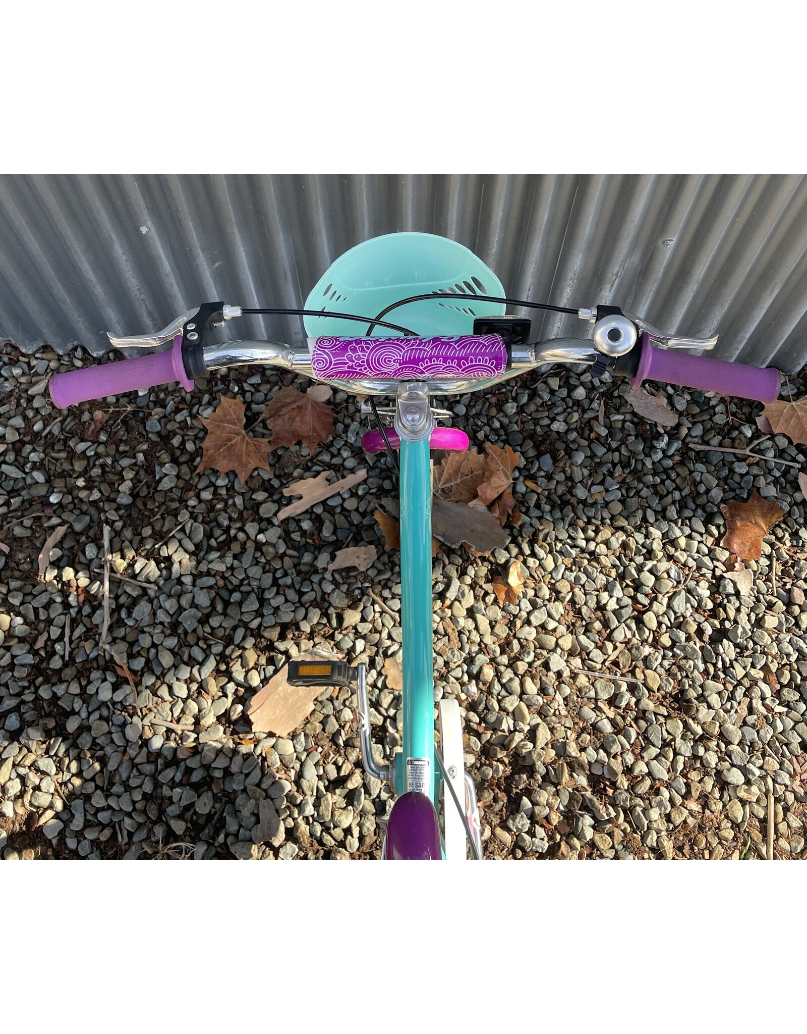 Schwinn Smart Start Kid, Blue-Green 48.26cm ,18Inches