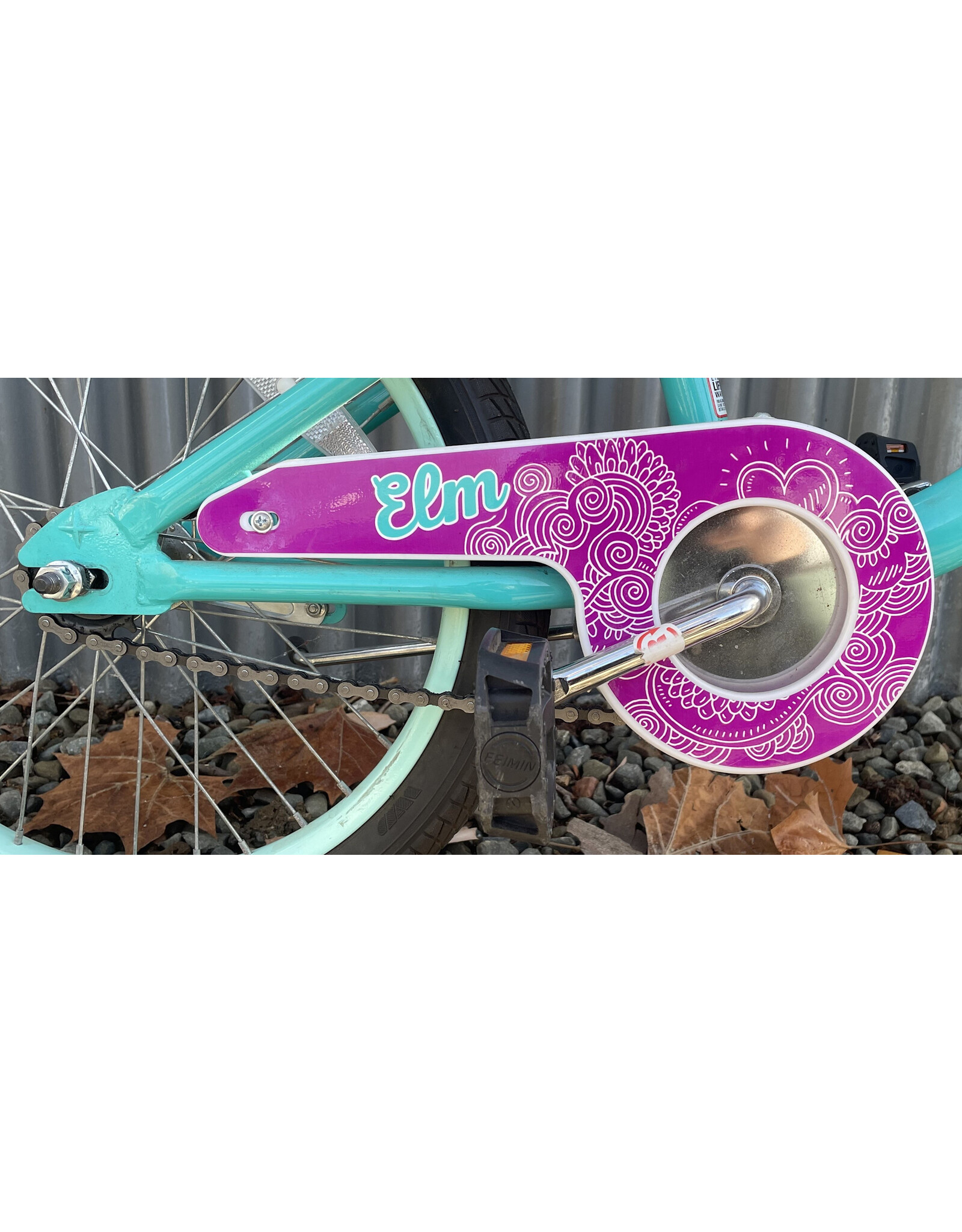 Schwinn Smart Start Kid, Blue-Green 48.26cm ,18Inches