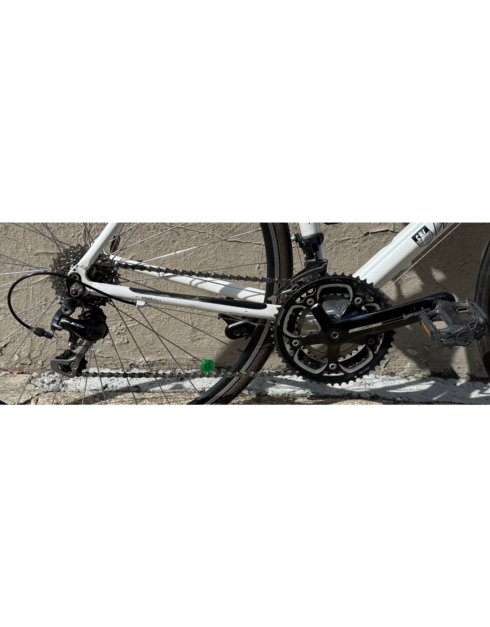 Windsor Windsor Fens, 54cm (21")