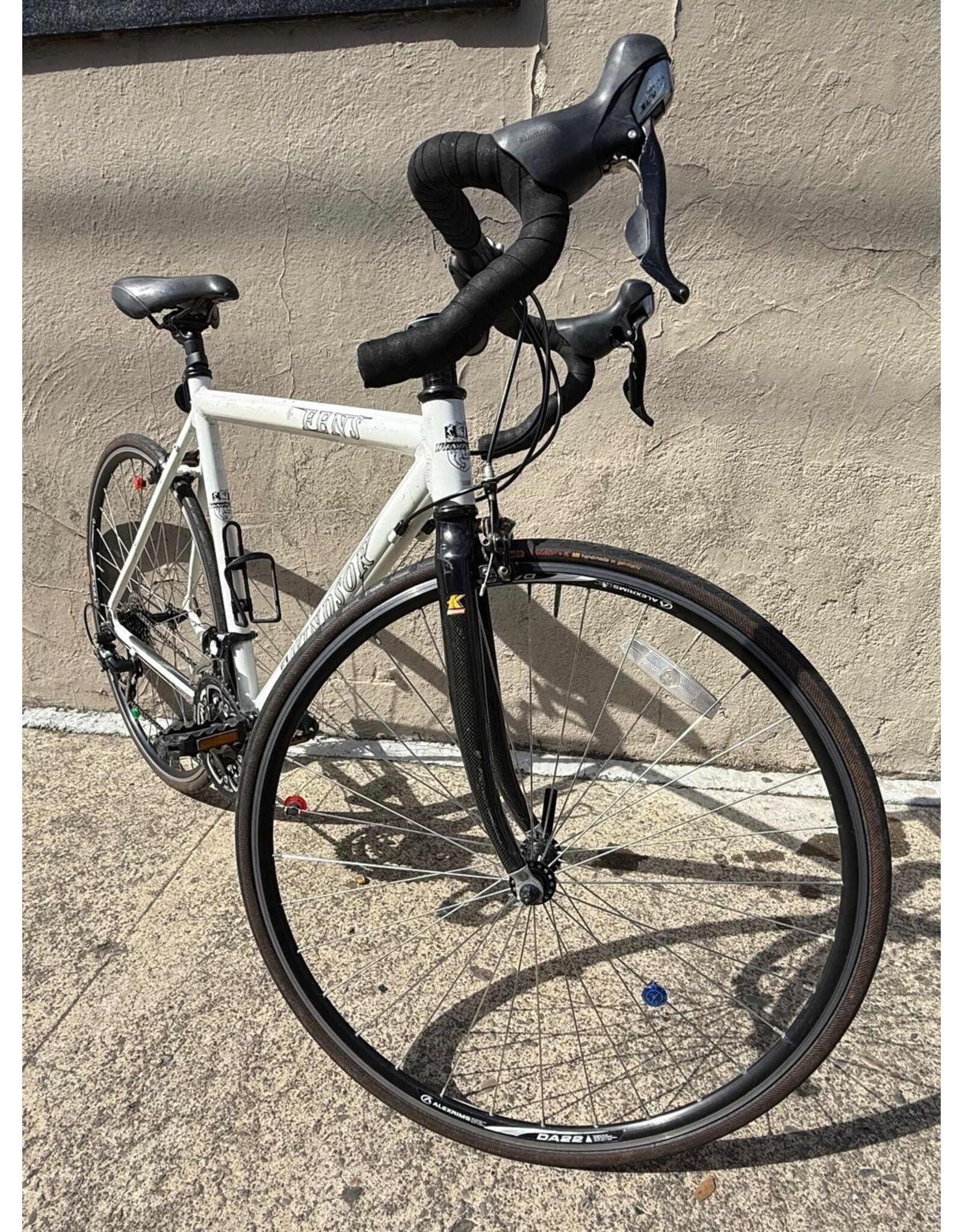 Windsor Windsor Fens, 54cm (21")