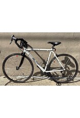 Windsor Windsor Fens, 54cm (21")