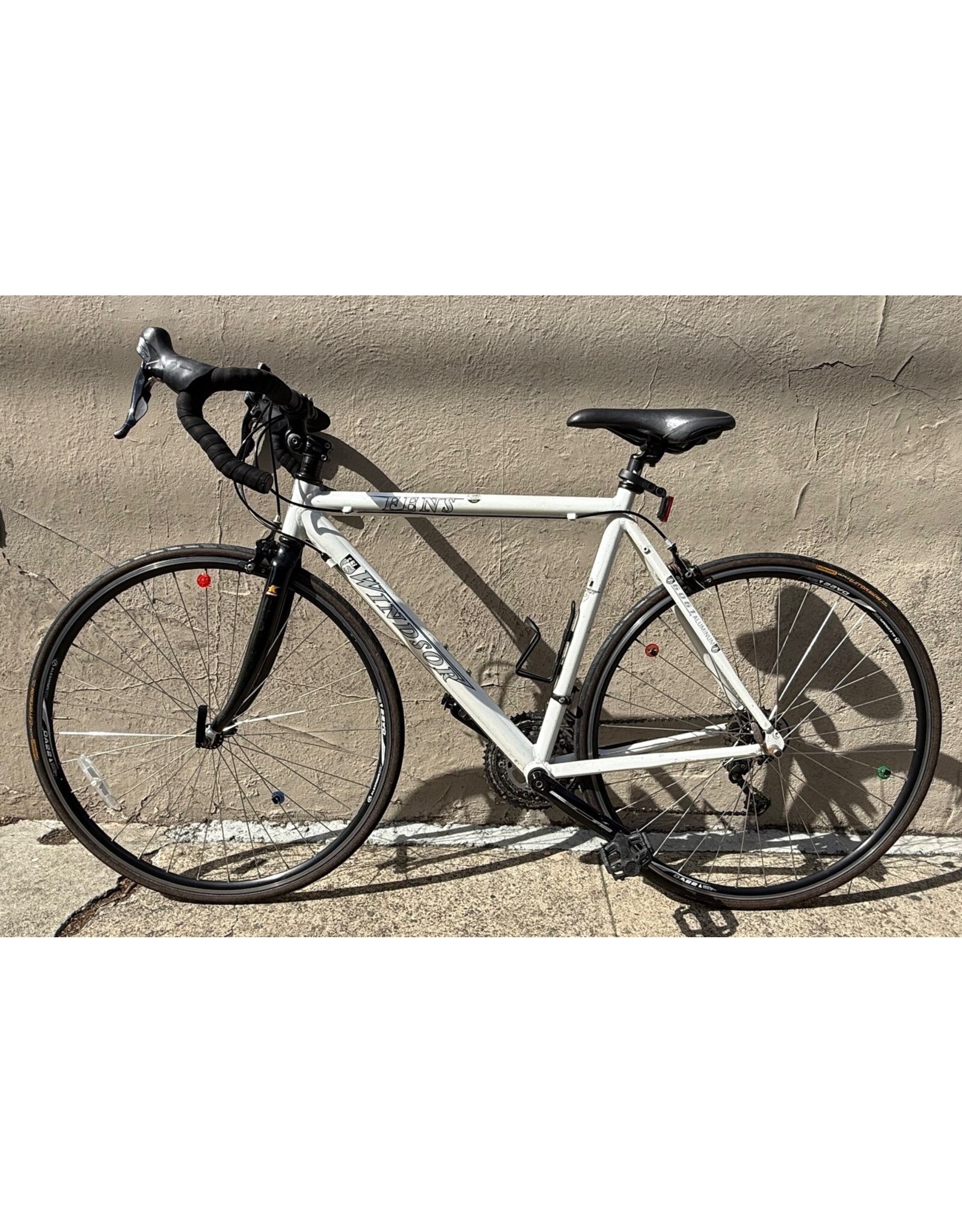 Windsor Windsor Fens, 54cm (21")