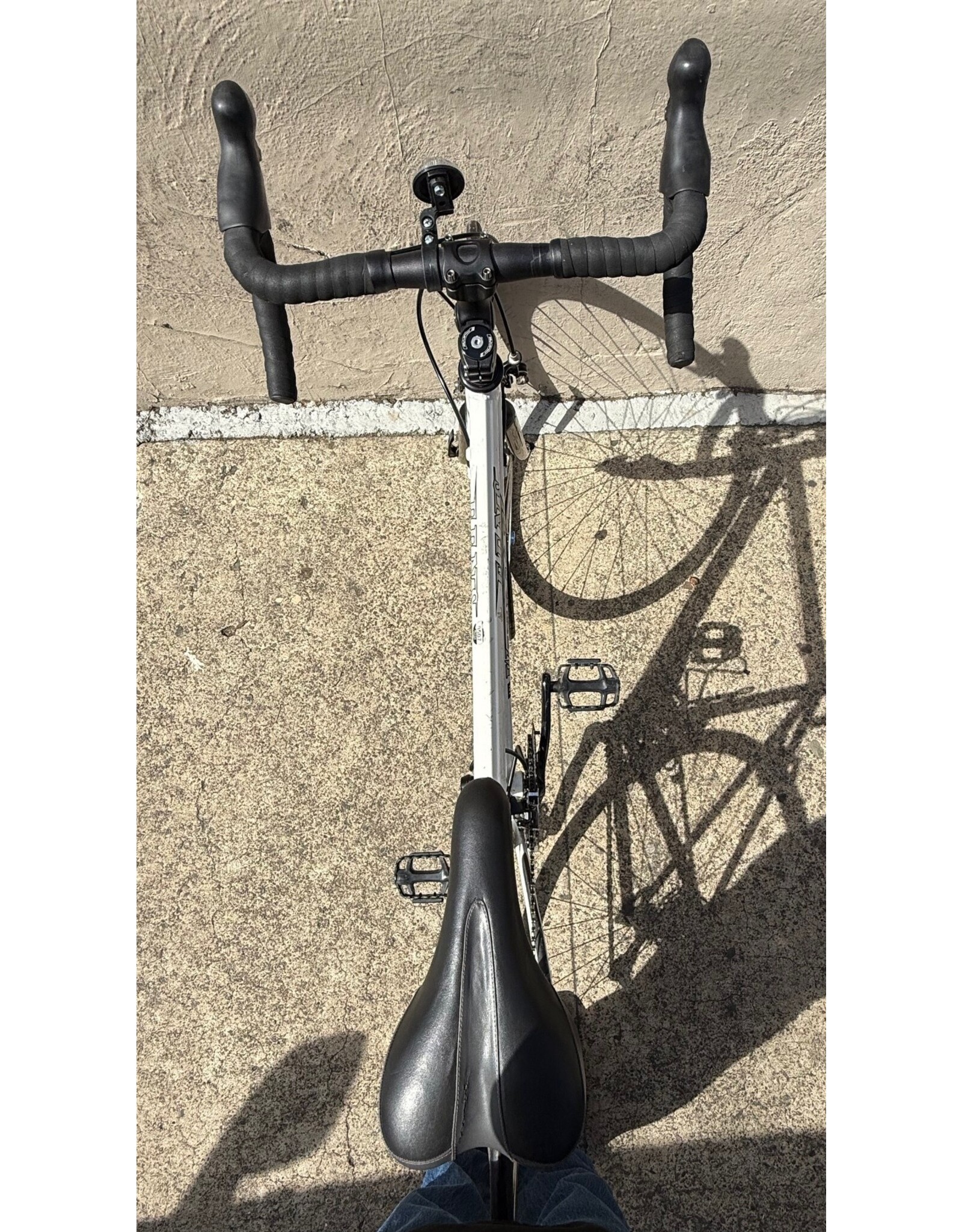 Windsor Windsor Fens, 54cm (21")