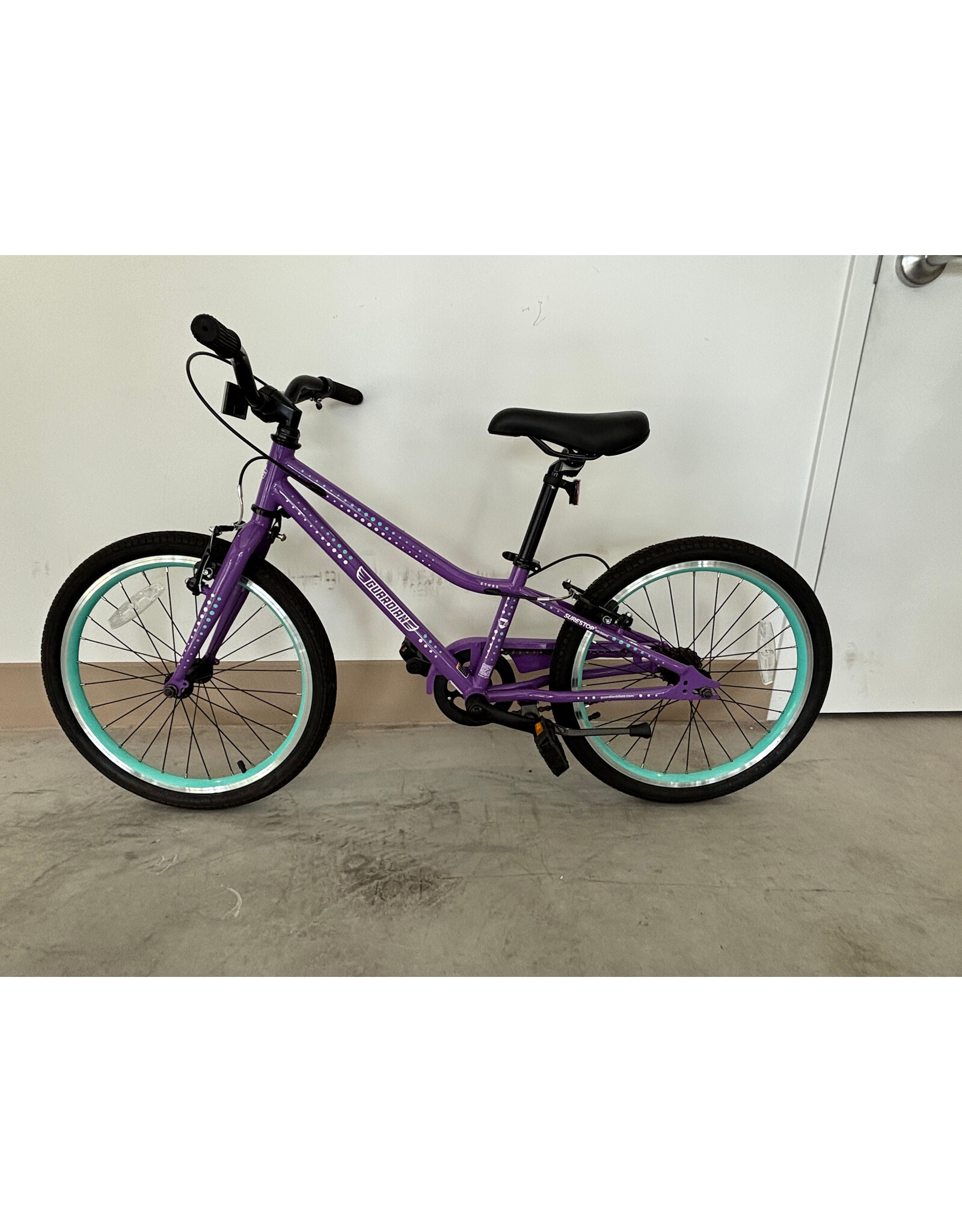 Guardian Guardian Ethos, 20"