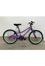 Guardian Guardian Ethos, 20"