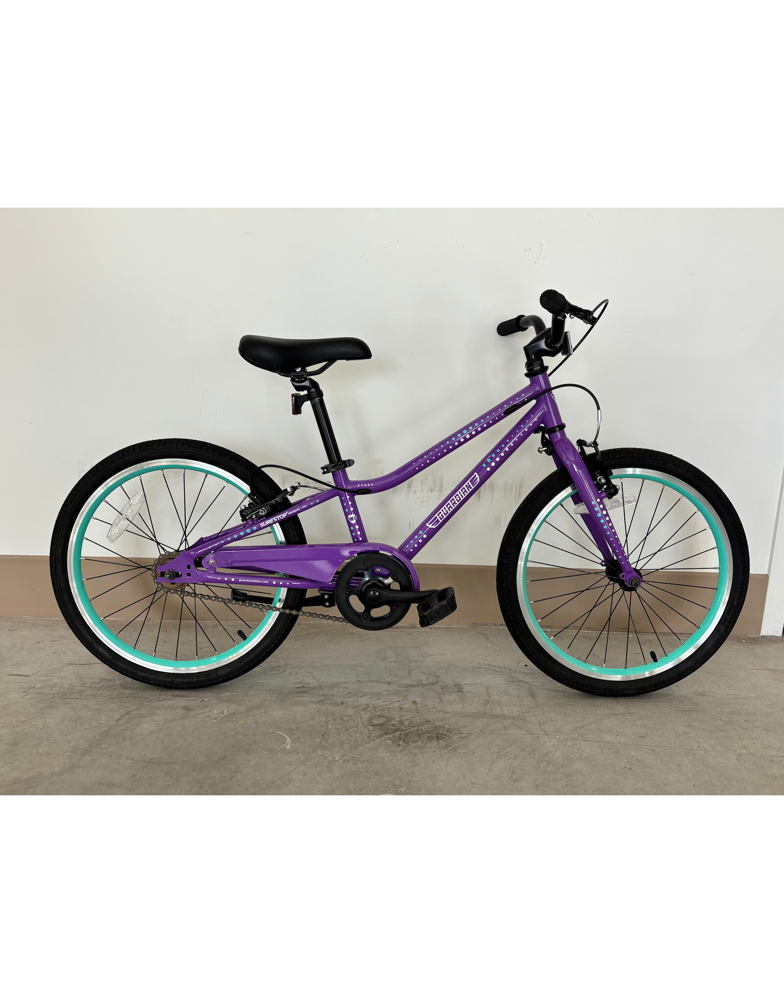 Guardian Guardian Ethos, 20"