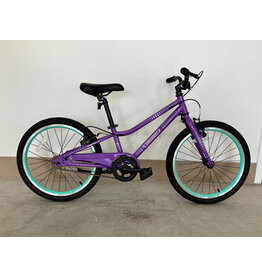 Guardian Guardian Ethos, 20"