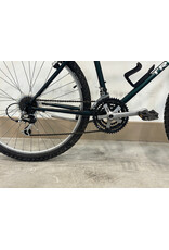 Trek Trek Mountain Track, 19"