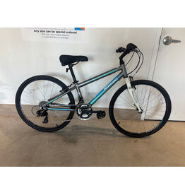 Nishiki Nishiki Manitoba 24, 13"