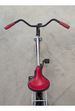 Schwinn Windwood Cruiser, 17 Inches, Silver