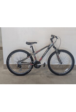 Trek Trek 3500 MTB, 13 Inches, Gray Metallic