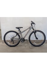 Specialized Specialized Rockhopper 13 inch Gray