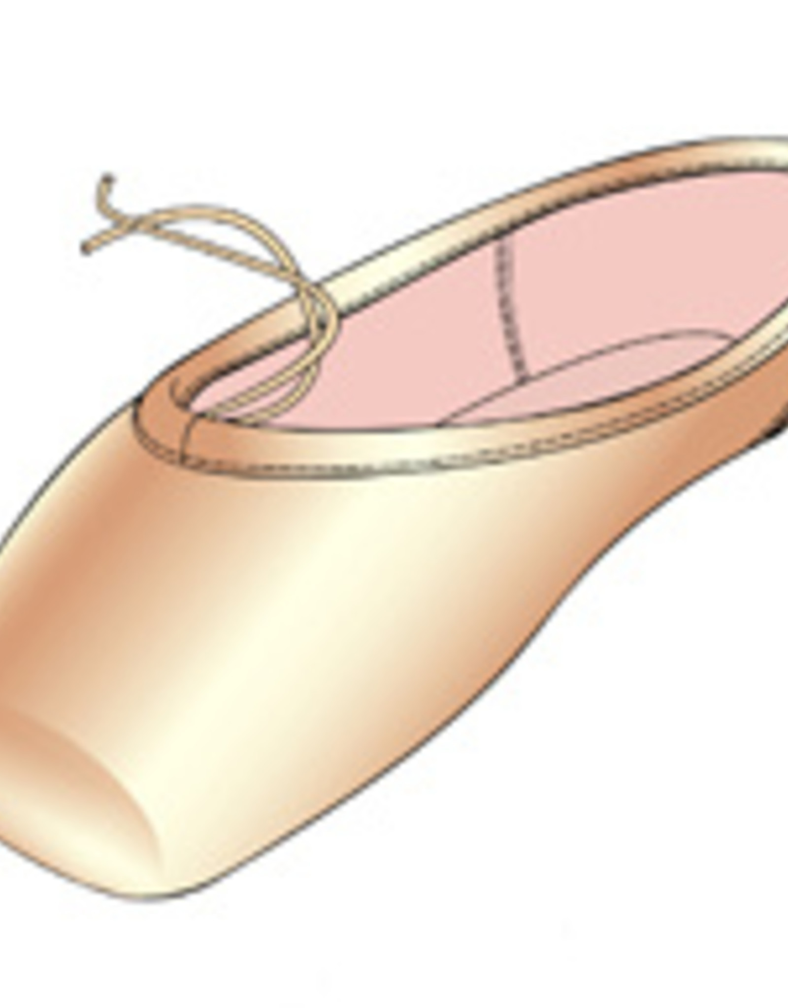 Capezio Develope 5.5, ballet pointe shoes