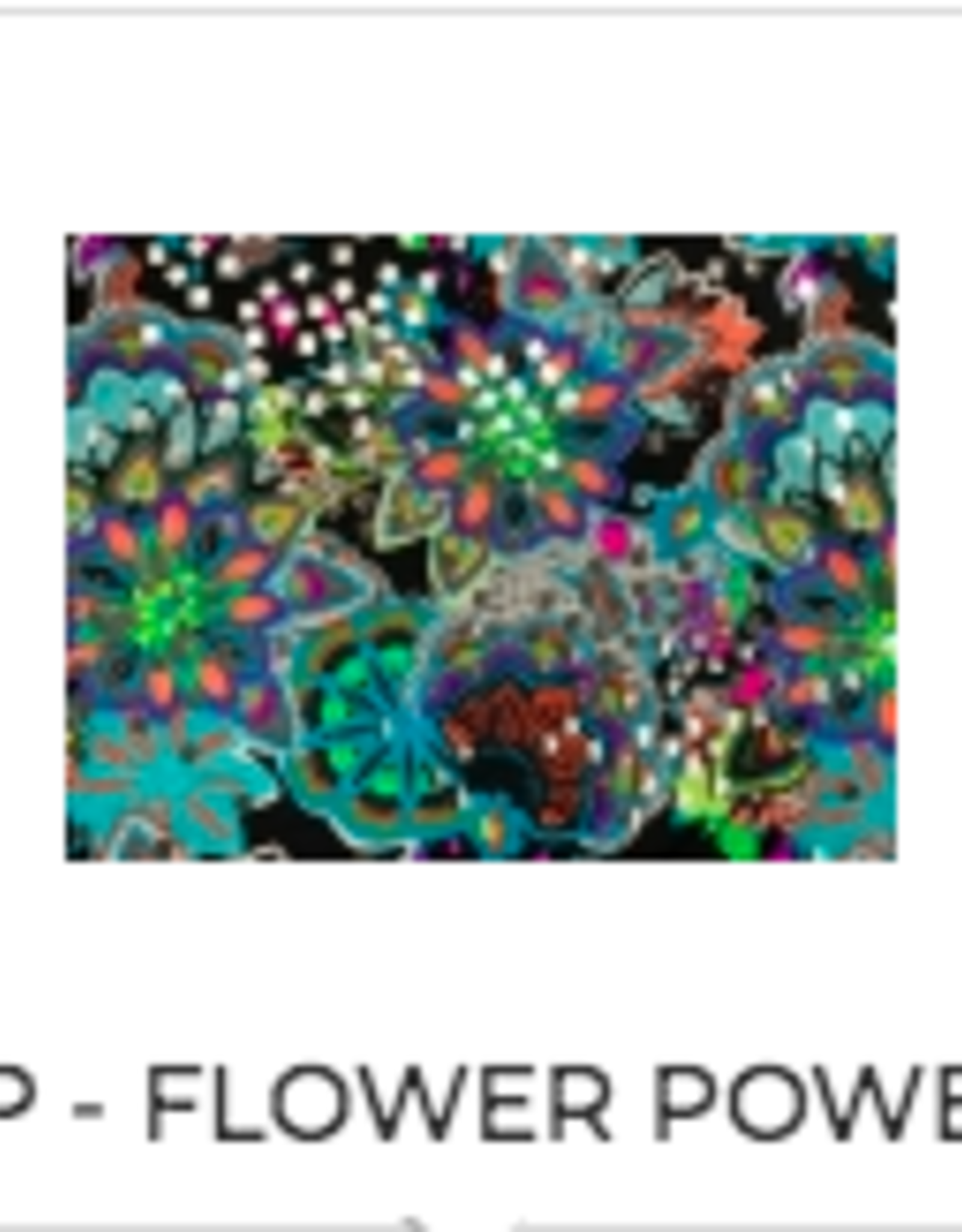MONDOR SLEEVELESS GYM LEOTARD FOR ADULTS (7822A) FLOWER POWER (FP) SMALL ADULTE