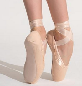 GRISHKO POINTE SHOE PROTECTOR (0560)