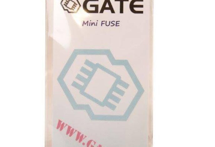 GATE Mini Fuse 40A 2-pack