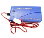 AA Portable AAP Multi Current Smart Charger