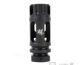 PTS Griffin M4 SD FlashComp CCW