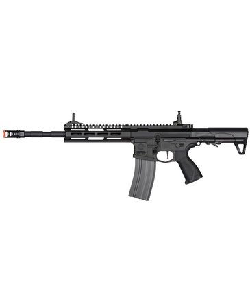 G&G G&G CM16 Raider L 2.0E (DEANS)