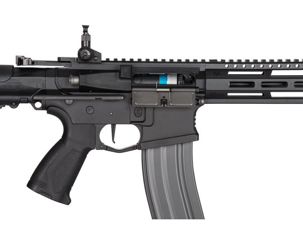 G&G G&G CM16 Raider L 2.0E (DEANS)