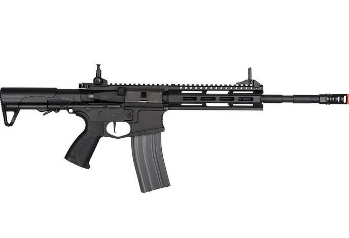 G&G CM16 Raider L 2.0E (DEANS)