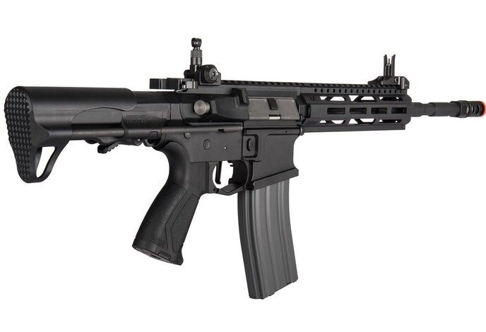 G&G CM16 Raider L 2.0E (DEANS)