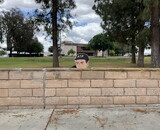 Tactical Outfitters ATF Big Head Cutout