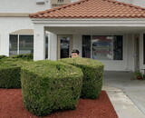 Tactical Outfitters ATF Big Head Cutout