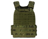 AEX Striker Plate Carrier