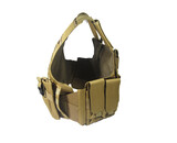 AEX Assault Plate Carrier System