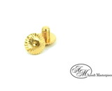 Airsoft Masterpiece Infinity Grip Screw Ver2 for Hi Capa