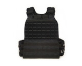 AEX Striker Plate Carrier