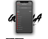 Gorilla mFCU Ver2 Magnetic Fire Control Unit for HPA Engines