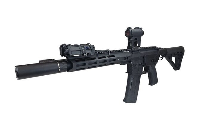 AEX Custom HIGH ROLLER Lancer Tactical Gen 4 Predator Delta 10" Rail Faxon Sight Gate ASTER, Black