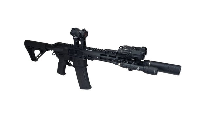 AEX Custom HIGH ROLLER Lancer Tactical Gen 4 Predator Delta 10" Rail Faxon Sight Gate ASTER, Black