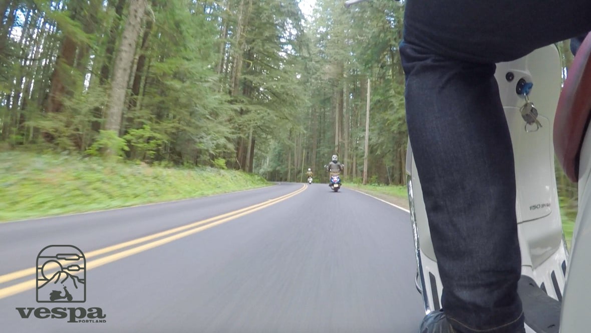 Forest Ride