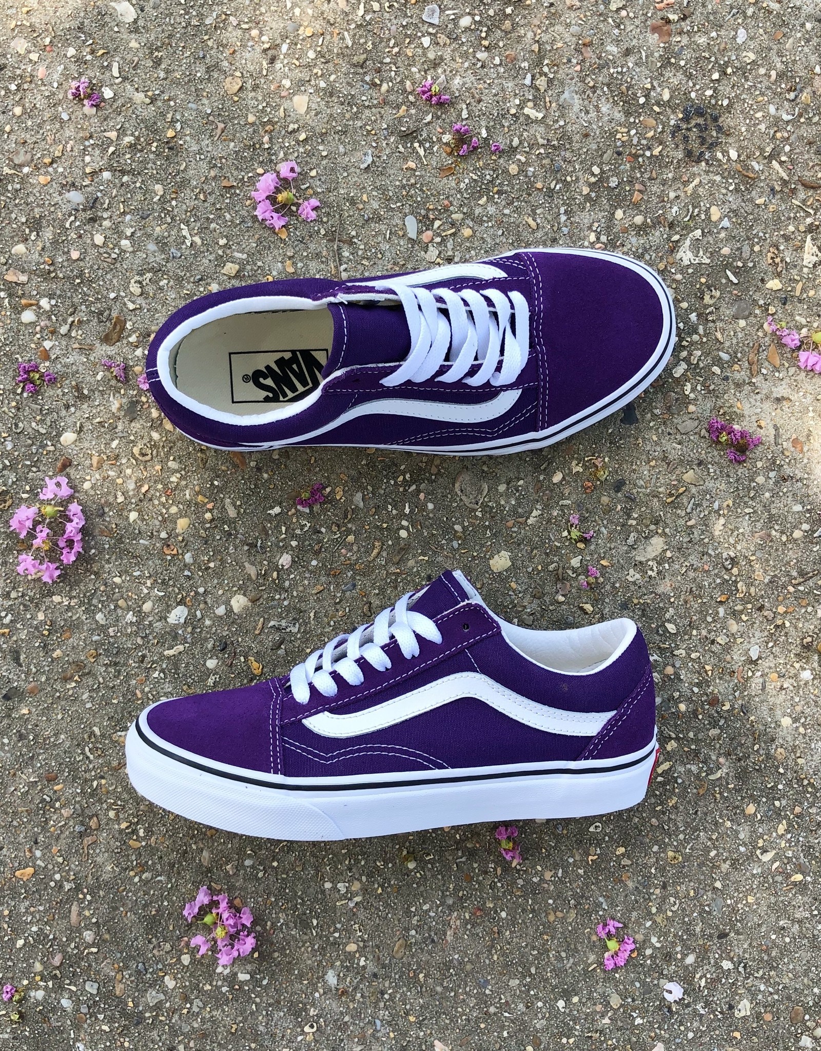 violet indigo vans
