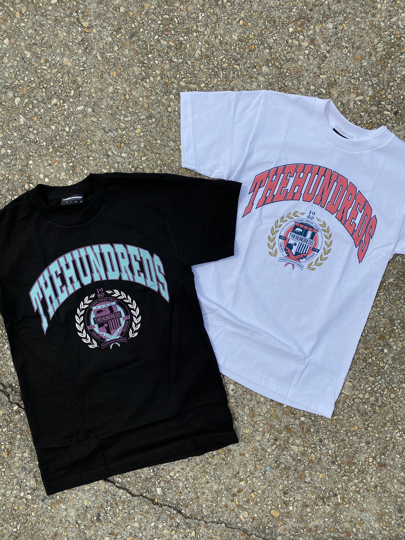 The Hundreds Alma T-Shirt The Hundreds Alma T-Shirt