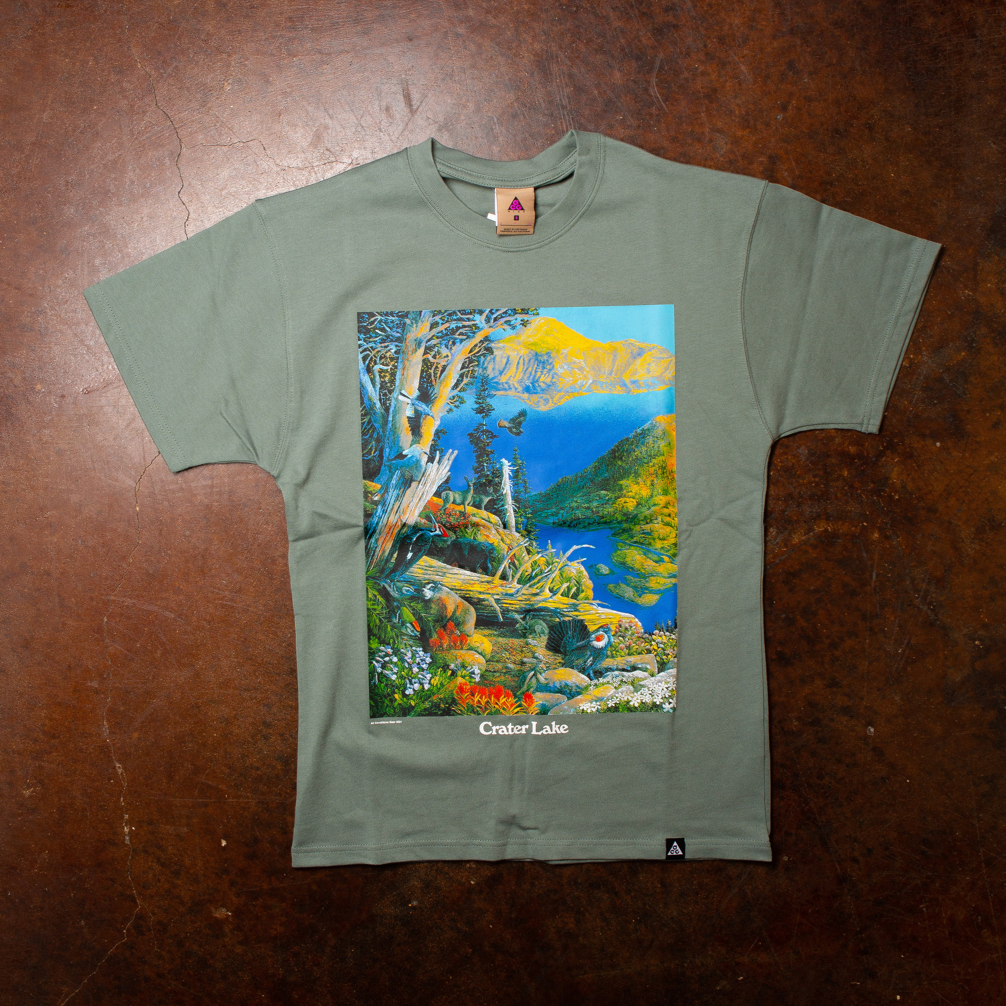 Nike ACG Crater Lake Shirt Nike ACG Crater Lake Shirt