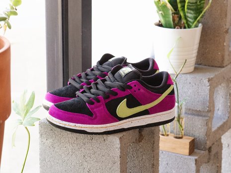 Nike SB Dunk Low 'ACG Red Plum'