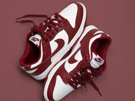 Nike Dunk Low Pro Team Red