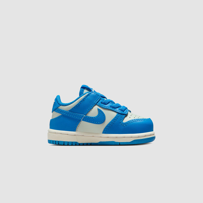 Nike Dunk Low (TD) Light Silver/Light Photo Blue