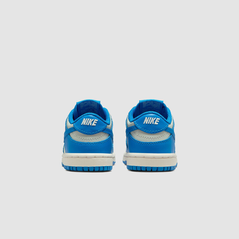 Nike Dunk Low (TD) Light Silver/Light Photo Blue