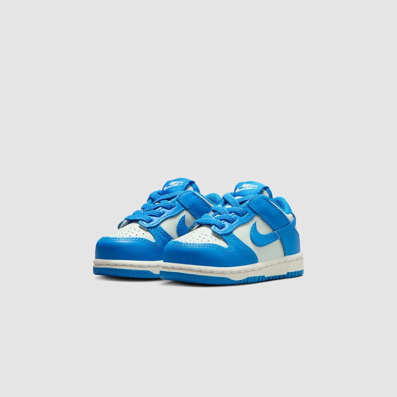 Nike Dunk Low (TD) Light Silver/Light Photo Blue