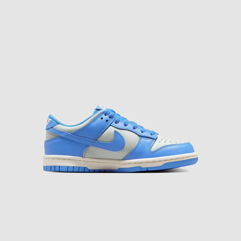 Nike Dunk Low (GS) Light Silver / Photo Blue