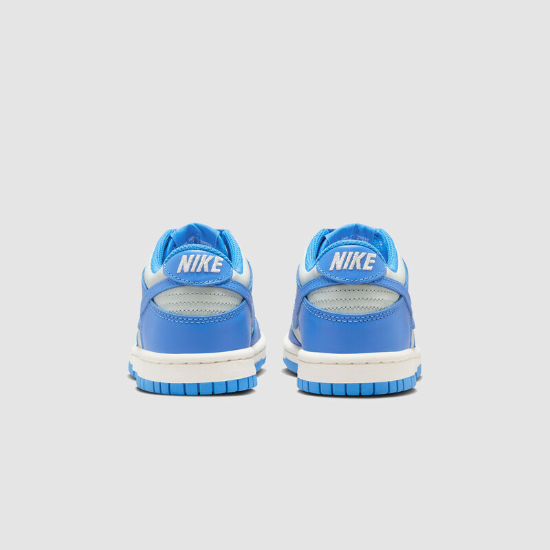 Nike Dunk Low (GS) Light Silver / Photo Blue