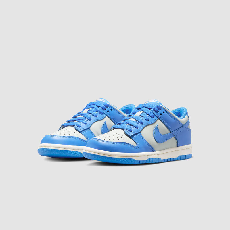 Nike Dunk Low (GS) Light Silver / Photo Blue