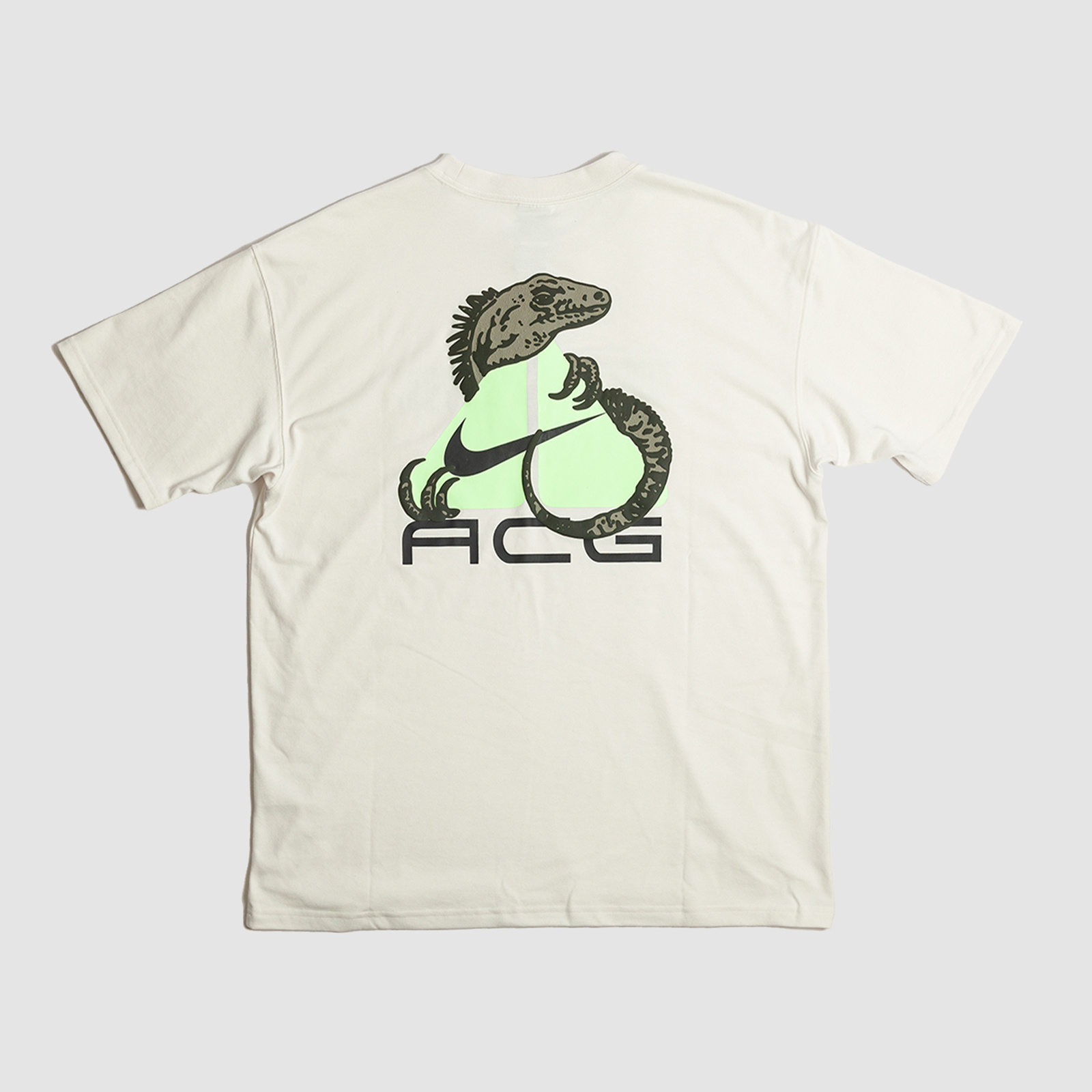 Nike ACG Lizard Tee Phantom