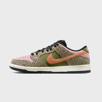 Nike SB Dunk Low Arts-Rec